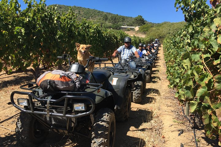 2h - Nature Quad Trail - Photo 1 of 11